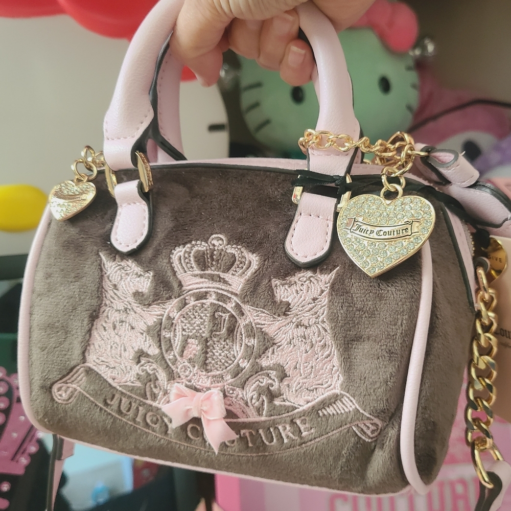 Juicy Couture Bag 🎀